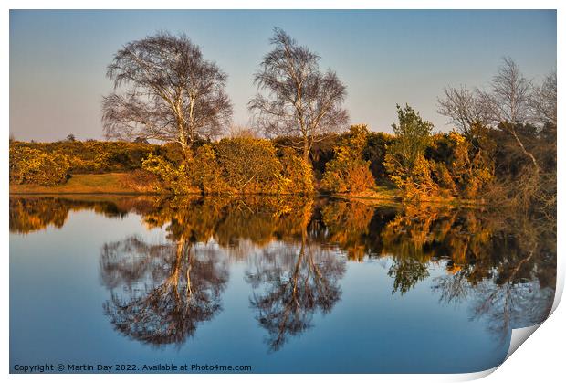 Gilded Reflections Print by Martin Day