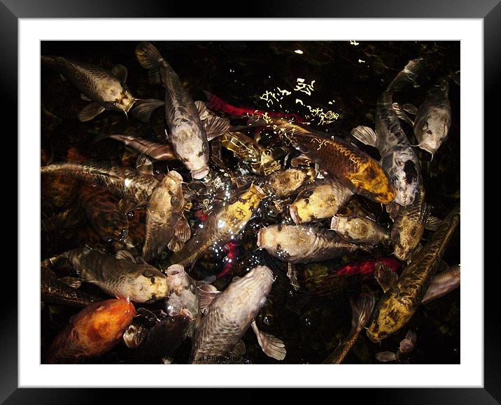 FIRST COME FIRST SERVE Framed Mounted Print by Jacque Mckenzie
