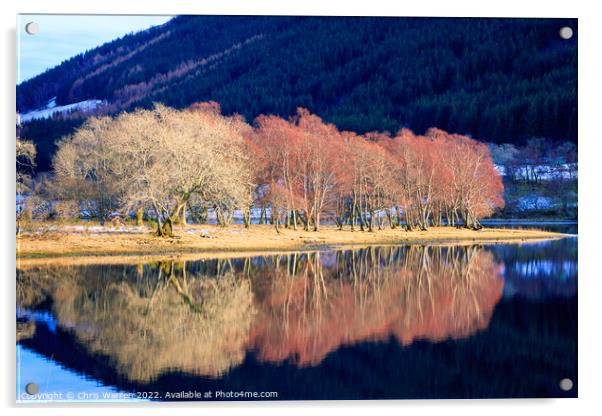 Loch Voil Stirling Scotland Acrylic by Chris Warren