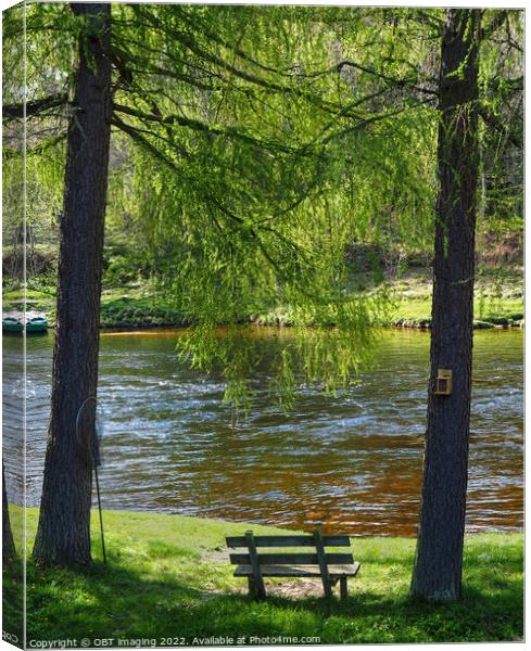 River Spey At Carron Speyside Spring Light Bench Canvas Print by OBT imaging