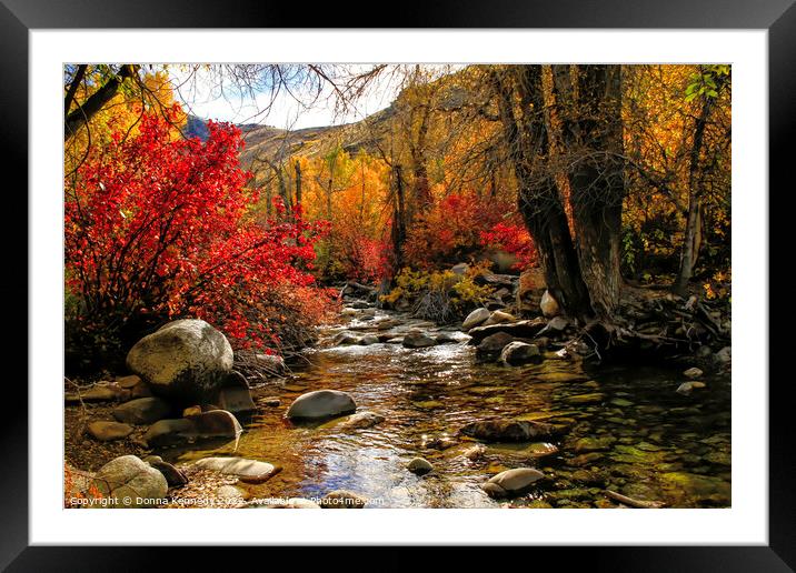 Lamoille Creek Framed Mounted Print by Donna Kennedy