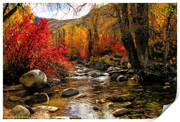 Lamoille Creek Print by Donna Kennedy