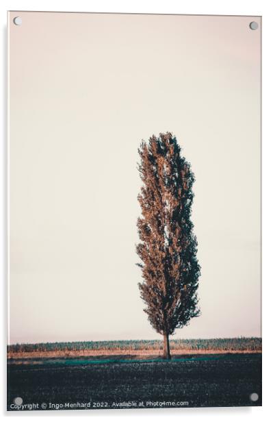Tree cannon Acrylic by Ingo Menhard
