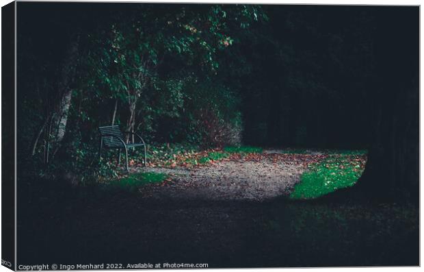 Last bench light Canvas Print by Ingo Menhard