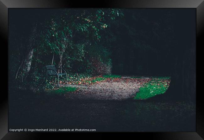 Last bench light Framed Print by Ingo Menhard