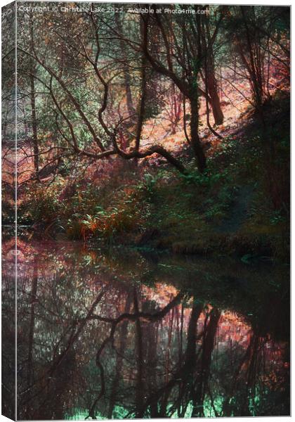 Natures Reflection Canvas Print by Christine Lake