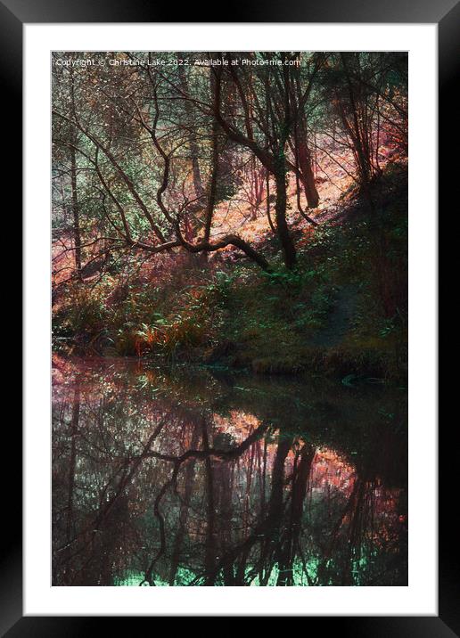 Natures Reflection Framed Mounted Print by Christine Lake