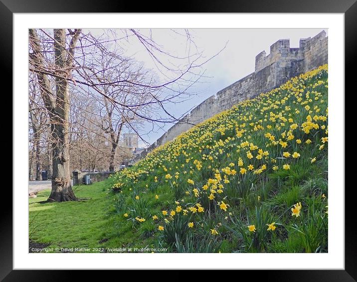 York City Walls in Spring Framed Mounted Print by David Mather