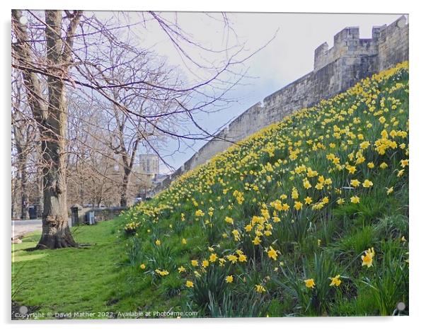 York City Walls in Spring Acrylic by David Mather