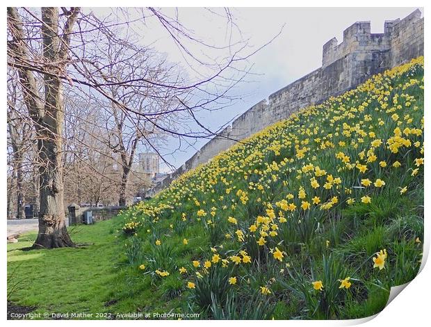 York City Walls in Spring Print by David Mather