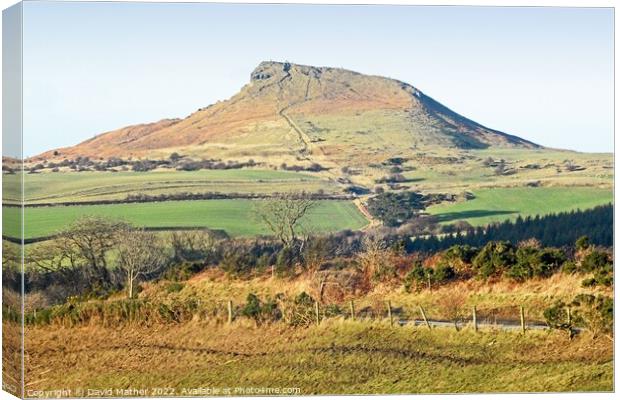 Roseberry Topping Canvas Print by David Mather
