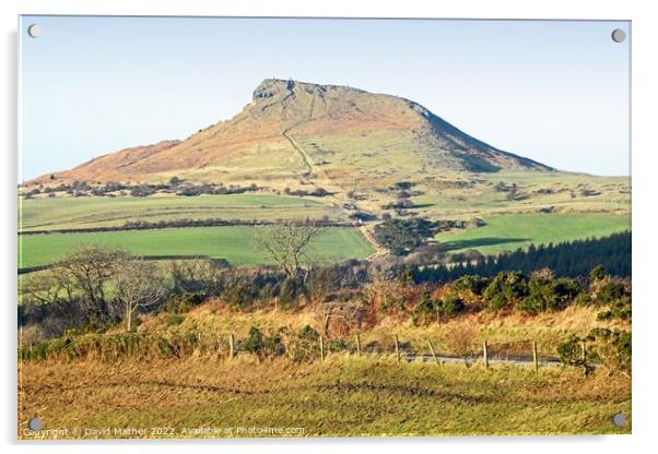 Roseberry Topping Acrylic by David Mather