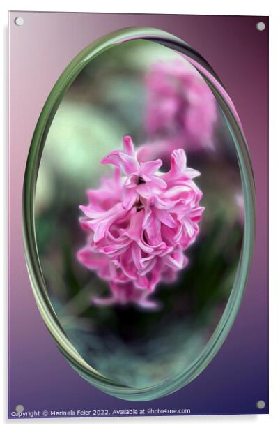 Hyacinth in spring Acrylic by Marinela Feier