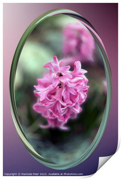 Hyacinth in spring Print by Marinela Feier