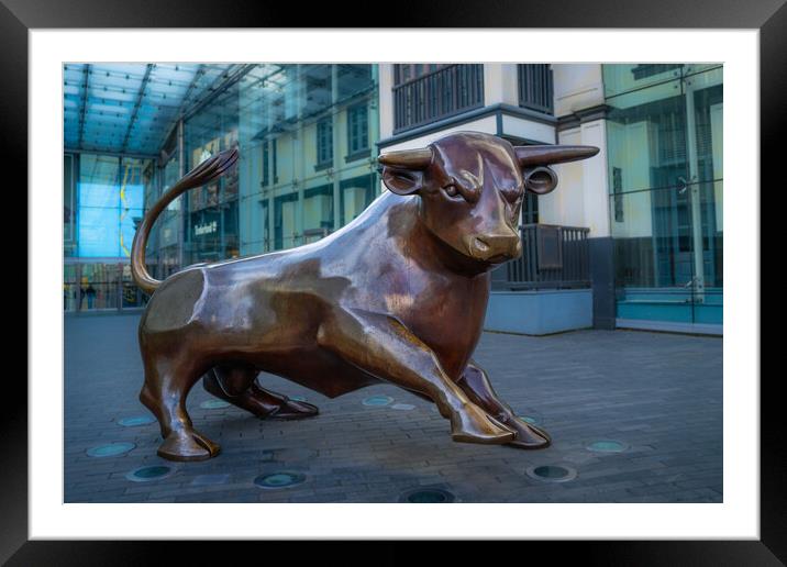 Birmingham's iconic bull. Framed Mounted Print by Bill Allsopp