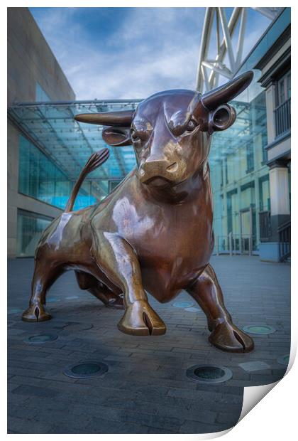 The Bull. Print by Bill Allsopp
