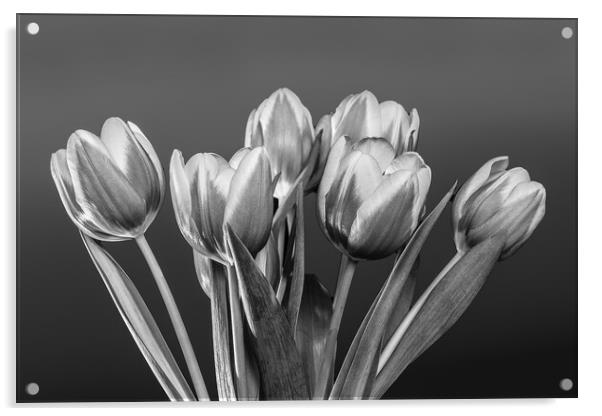 Tulip Vase. Acrylic by Bill Allsopp
