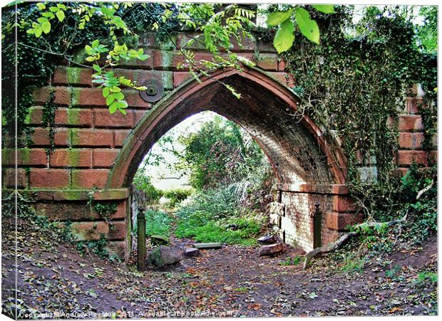 Himley Park Archway Canvas Print by Andrew Poynton