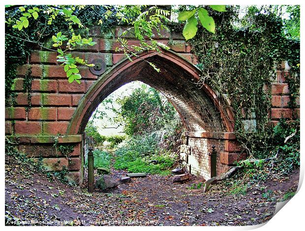 Himley Park Archway Print by Andrew Poynton