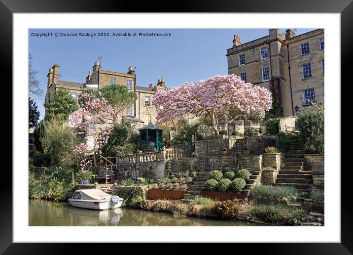 Cherry Blossom along the canal in Bath Framed Mounted Print by Duncan Savidge