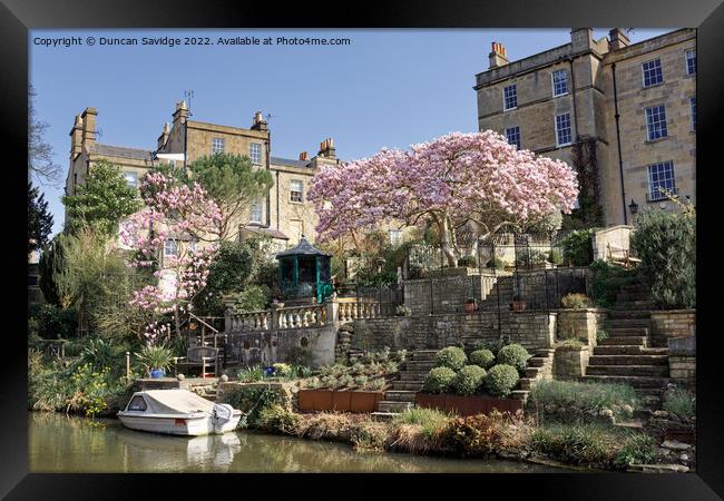 Cherry Blossom along the canal in Bath Framed Print by Duncan Savidge