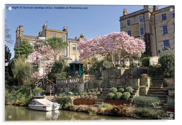 Cherry Blossom along the canal in Bath Acrylic by Duncan Savidge