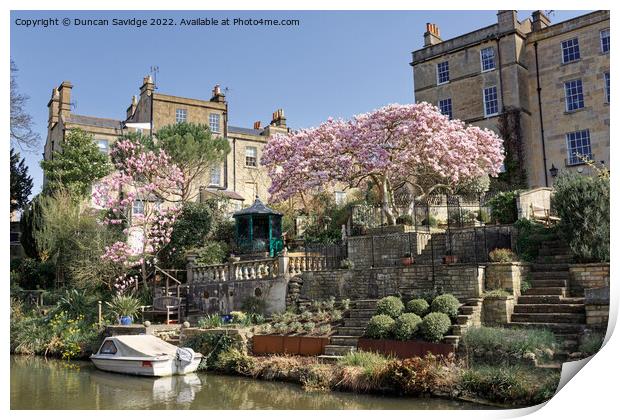 Cherry Blossom along the canal in Bath Print by Duncan Savidge