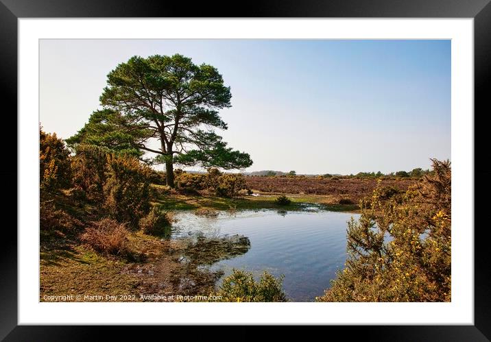 Serene Reflections by Andrews Mere Framed Mounted Print by Martin Day