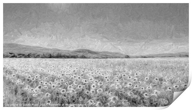 Sunflower Panorama Art Print by David Pyatt