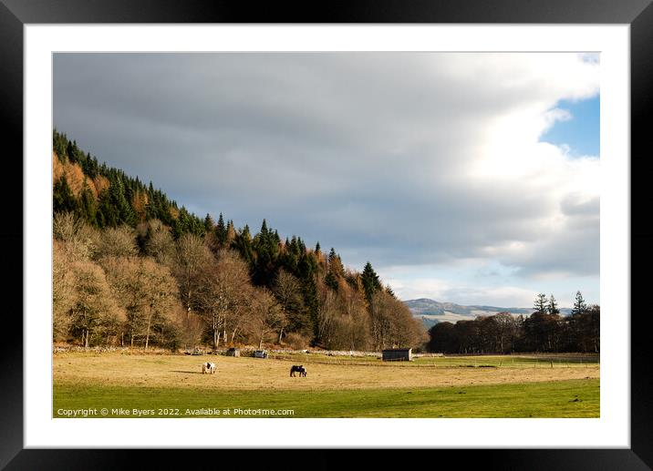 Graceful Equines in Serene Scottish Landscape Framed Mounted Print by Mike Byers