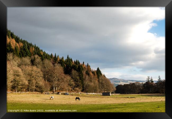 Graceful Equines in Serene Scottish Landscape Framed Print by Mike Byers