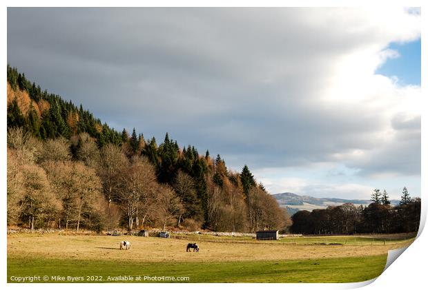 Graceful Equines in Serene Scottish Landscape Print by Mike Byers