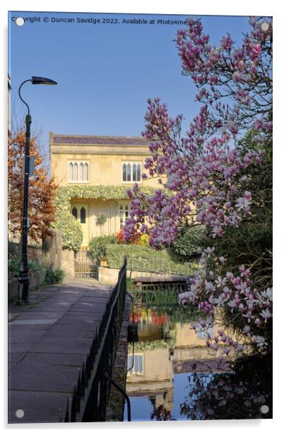 Prior Park Cottages Bath in Spring Acrylic by Duncan Savidge
