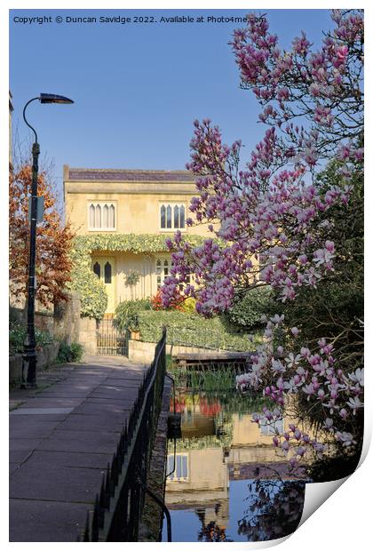 Prior Park Cottages Bath in Spring Print by Duncan Savidge