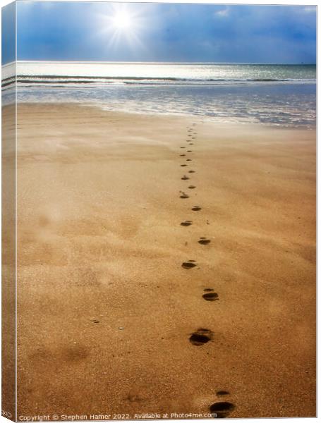 Footsteps Canvas Print by Stephen Hamer