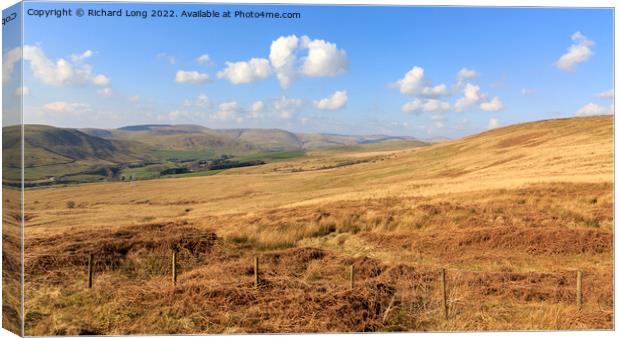 Langholm moor Scotland Canvas Print by Richard Long