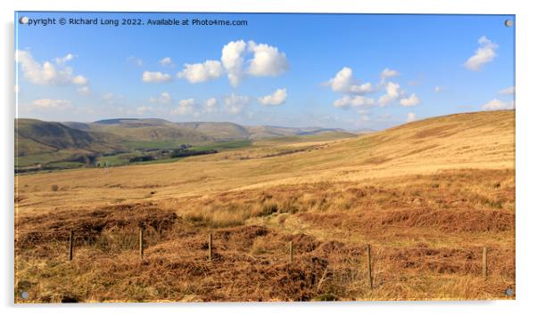 Langholm moor Scotland Acrylic by Richard Long