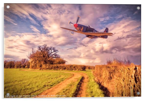Hedge Hopping Acrylic by Ian Merton