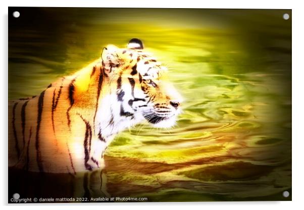 MOTION COLOR of siberian tiger Acrylic by daniele mattioda