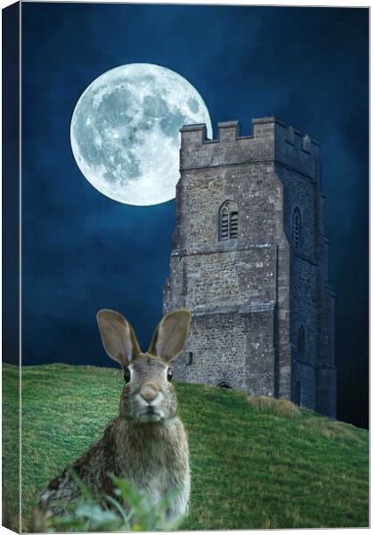 Glastonbury Moon Hare Canvas Print by Alison Chambers
