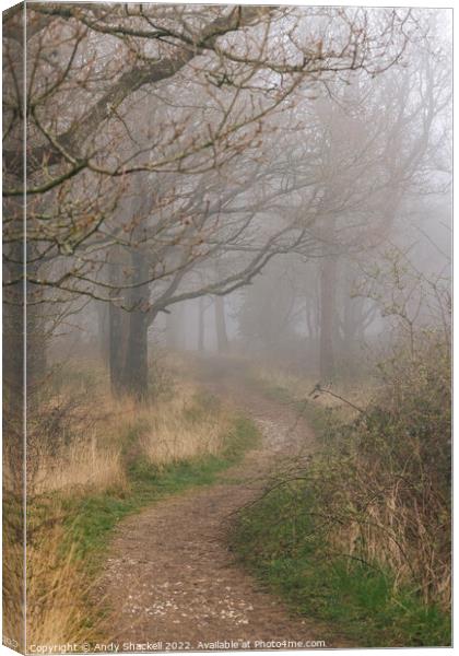 if you go into the woods today Canvas Print by Andy Shackell