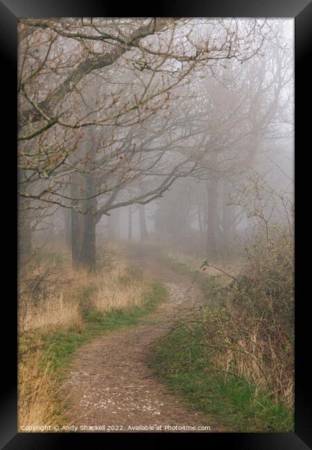 if you go into the woods today Framed Print by Andy Shackell