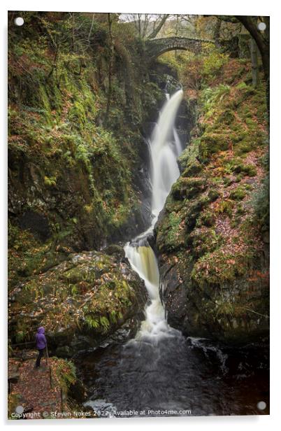 The Enchanting Aira Force Waterfall Acrylic by Steven Nokes