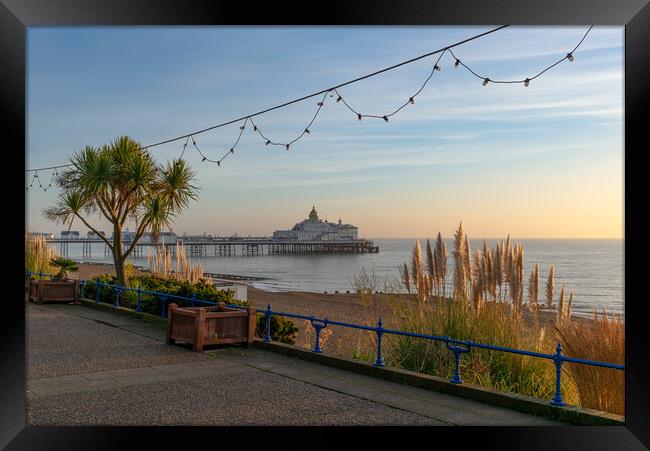 Eastbourne Pier  Framed Print by Nick Rowland