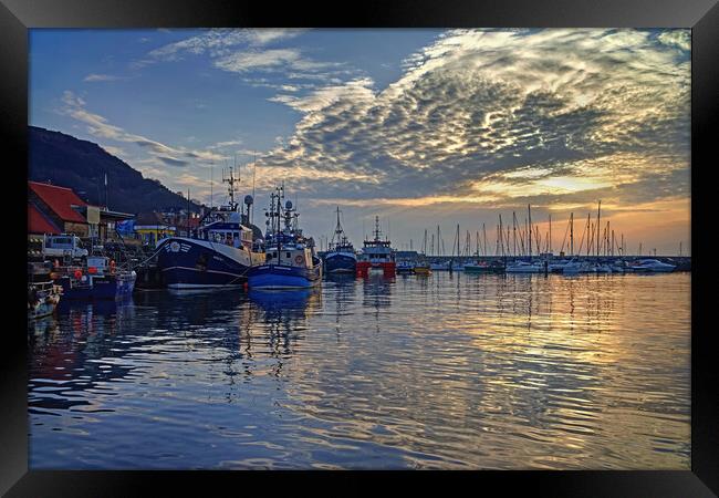 Scarborough Harbour Sunrise North Yorkshire  Framed Print by Darren Galpin
