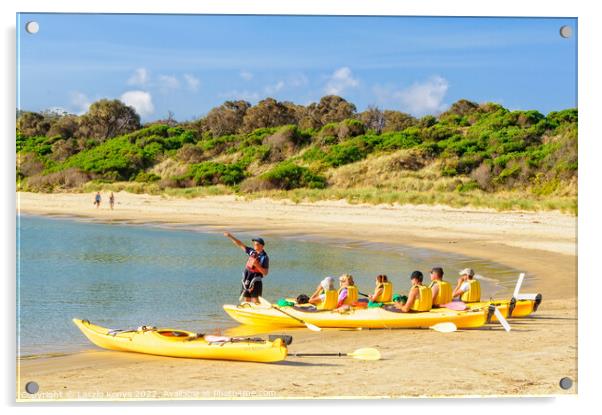 Sea kayaking - Coles Bay Acrylic by Laszlo Konya