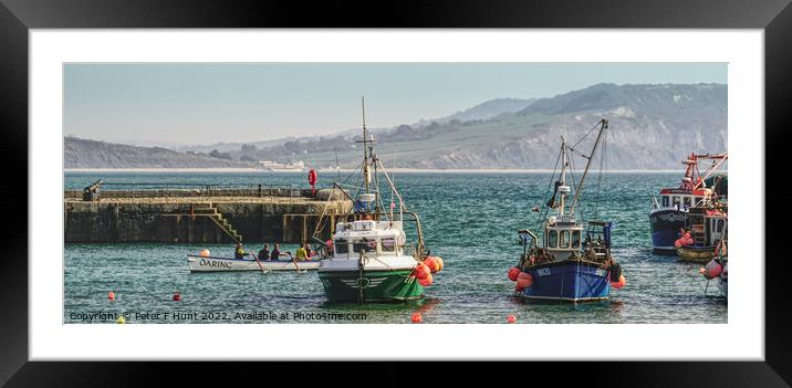 Lyme Regis Fishing Boats  Framed Mounted Print by Peter F Hunt