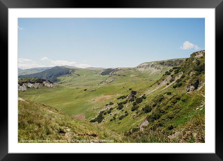 Mountains Transalpina Romania Framed Mounted Print by Veronika Druzhnieva