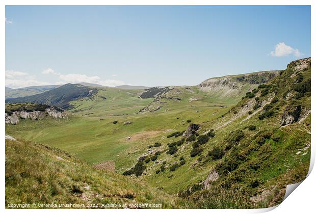 Mountains Transalpina Romania Print by Veronika Druzhnieva