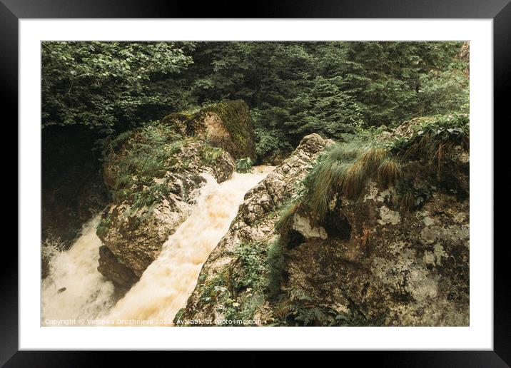 Outdoor mountain, river Romania, Bicaz Gorge Framed Mounted Print by Veronika Druzhnieva